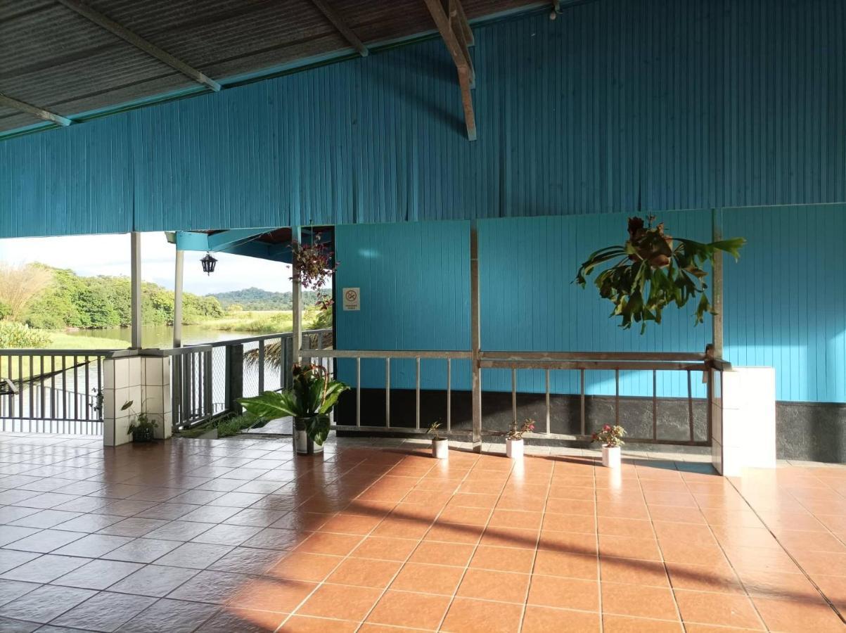 Hotel Gaviotas De Osa Sierpe Εξωτερικό φωτογραφία